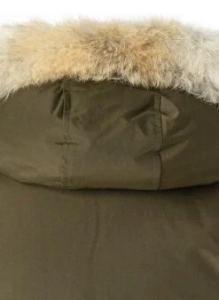 Woolrich Daunenparka Polar, Baumwolle Mit Echtpelz, Dunkelgrün -Milestone Shop 378095 norm6