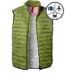 CINQUE Steppweste, Mikrofaser Sorona®, Grün -Milestone Shop 412055 norm 1