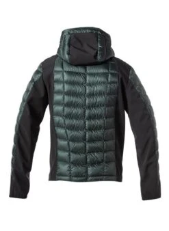 PARAJUMPERS Daunenjacke, Mikrofaser Wasserabweisend, Dunkelgrün-schwarz -Milestone Shop 419512 norm2
